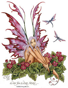 Fairy 5